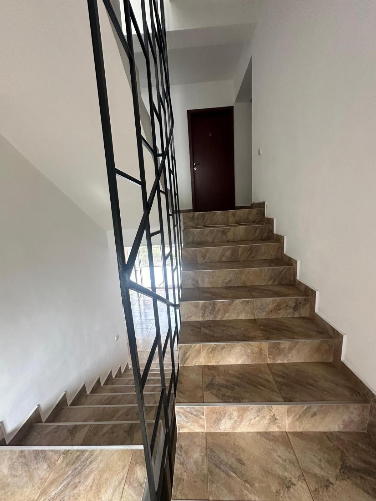 Hotel Vila Lucy Costinesti Zewnętrze zdjęcie