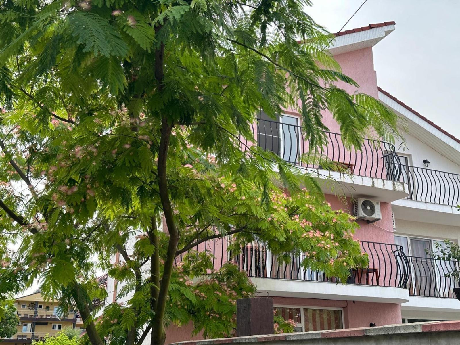 Hotel Vila Lucy Costinesti Zewnętrze zdjęcie