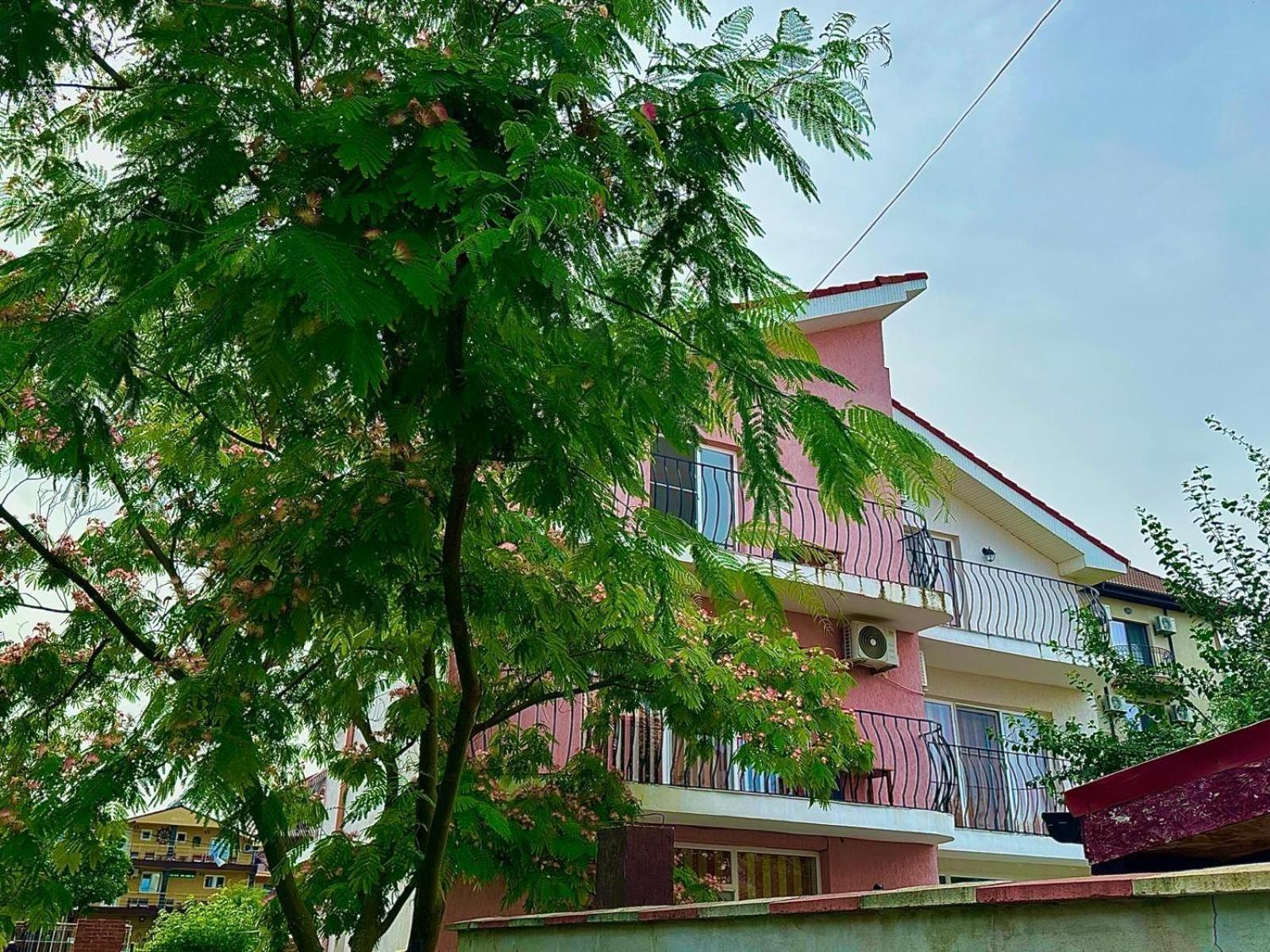 Hotel Vila Lucy Costinesti Zewnętrze zdjęcie